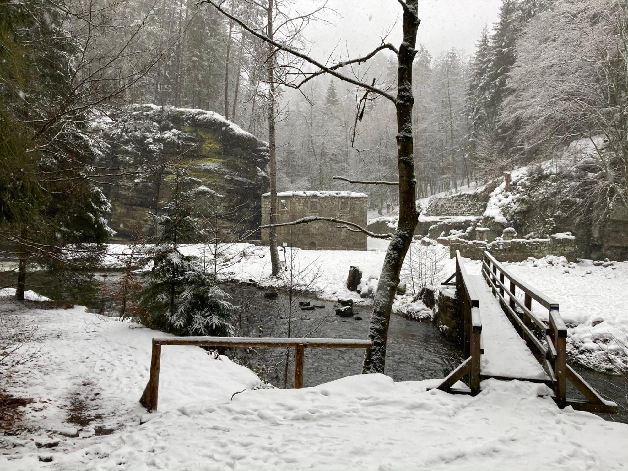 Pension Hofberg Jetřichovice Buitenkant foto