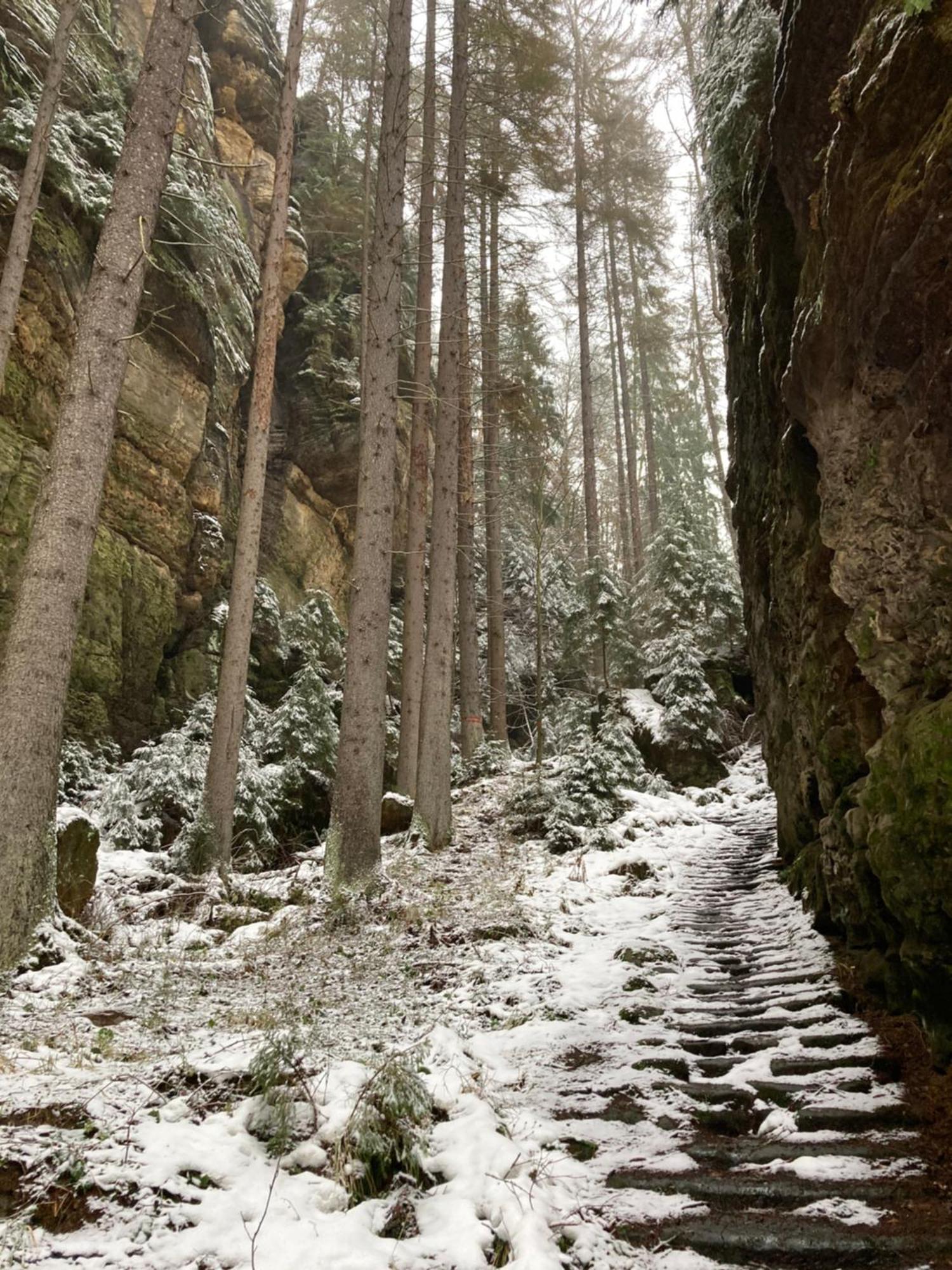 Pension Hofberg Jetřichovice Buitenkant foto