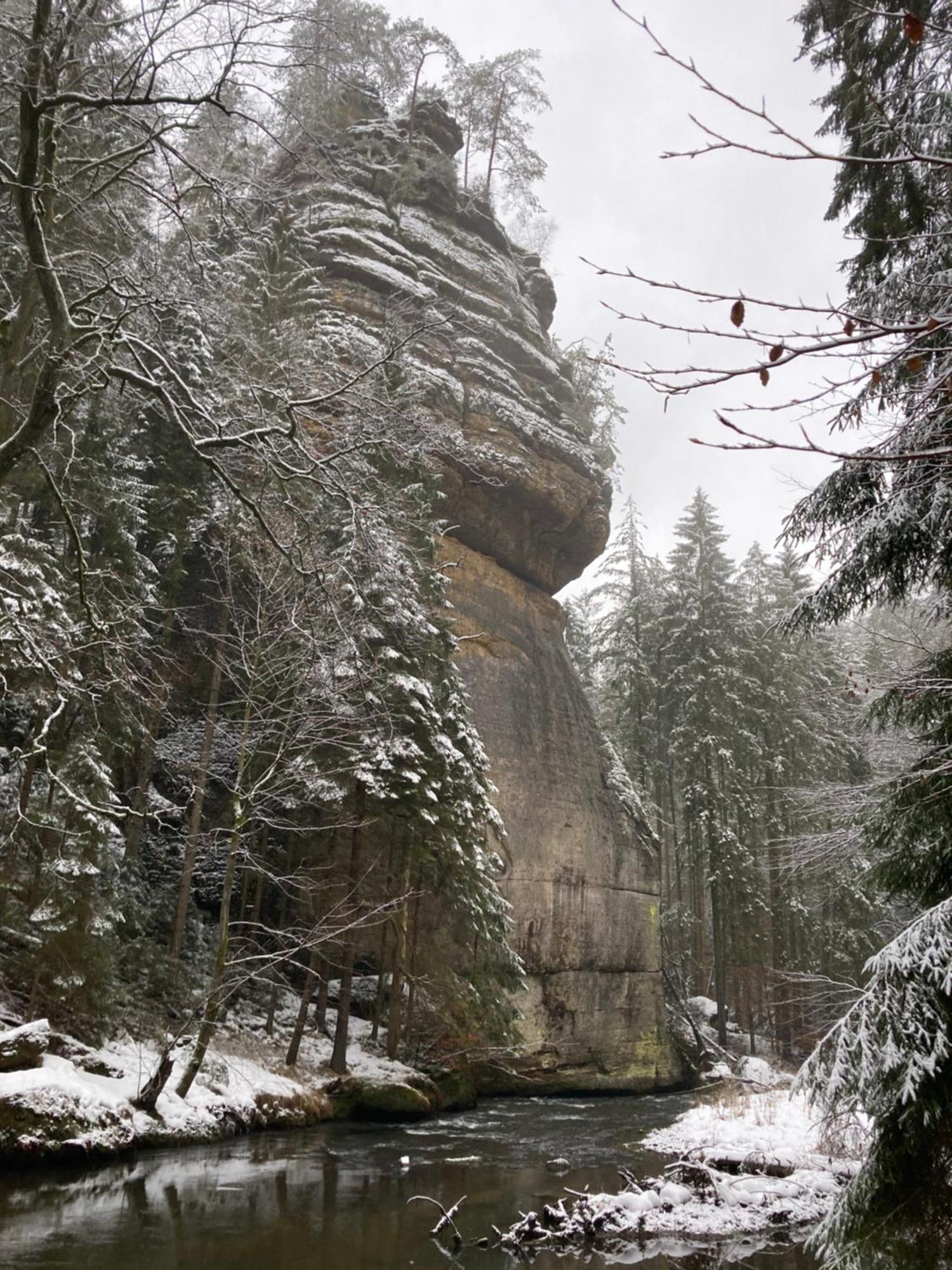 Pension Hofberg Jetřichovice Buitenkant foto